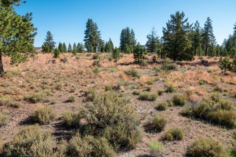 19190 Macalpine Loop, Bend, OR 97702 photo 25