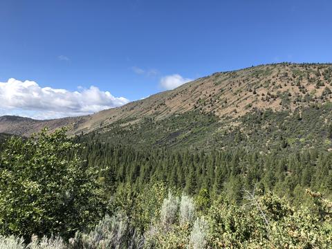 427452 Parcel Id Dr, Klamath Falls, OR 97601