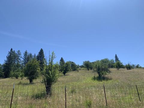 5222 Davanna Dr, Eagle Point, OR 97524 photo 5