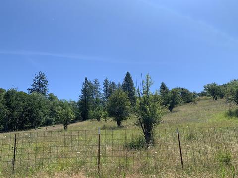 5222 Davanna Dr, Eagle Point, OR 97524 photo 6