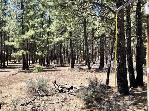 60253 Ochoco Cir, Bend, OR 97702 photo 2