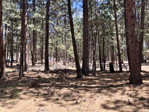 60253 Ochoco Cir, Bend, OR 97702 photo 1