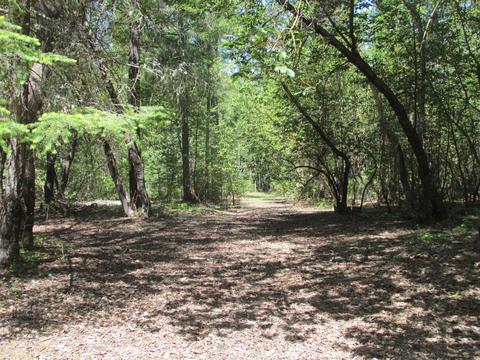 560 Marcy Loop Rd, Grants Pass, OR 97527 photo 23