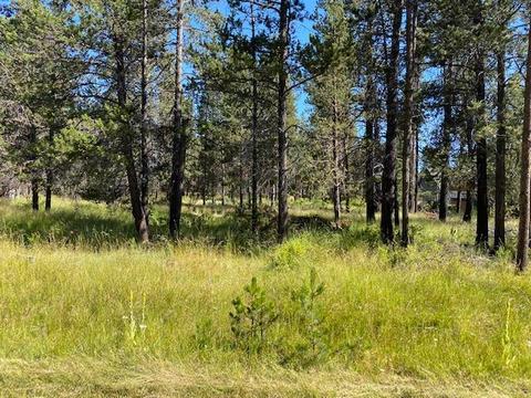 55446 Heierman Dr, Bend, OR 97707 photo 4