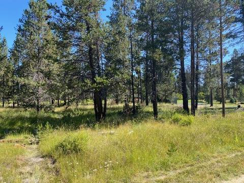 55446 Heierman Dr, Bend, OR 97707 photo 3