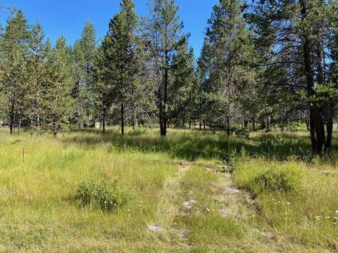 55446 Heierman Dr, Bend, OR 97707 photo 2