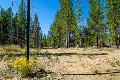 16690 Willow Ln, La Pine, OR 97739 photo 7