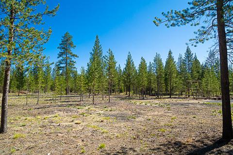 16690 Willow Ln, La Pine, OR 97739 photo 6