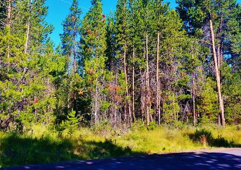 56247 Eider Rd, Bend, OR 97707 photo 3