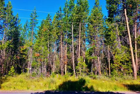 56247 Eider Rd, Bend, OR 97707 photo 1