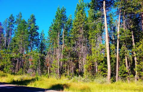 56247 Eider Rd, Bend, OR 97707 photo 2