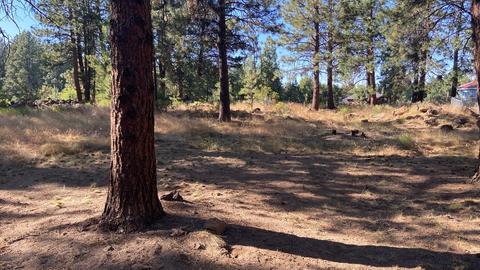 19170 Baker Rd, Bend, OR 97702 photo 23