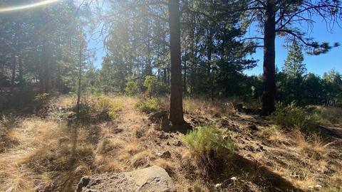 19170 Baker Rd, Bend, OR 97702 photo 21