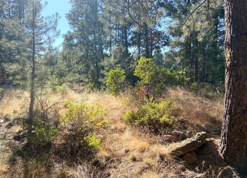 19170 Baker Rd, Bend, OR 97702 photo 4