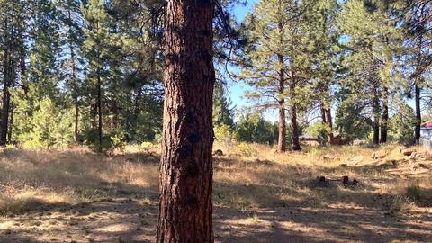 19170 Baker Rd, Bend, OR 97702 photo 5