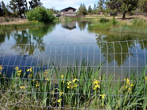 20250 Rogers Rd, Bend, OR 97703 photo 20