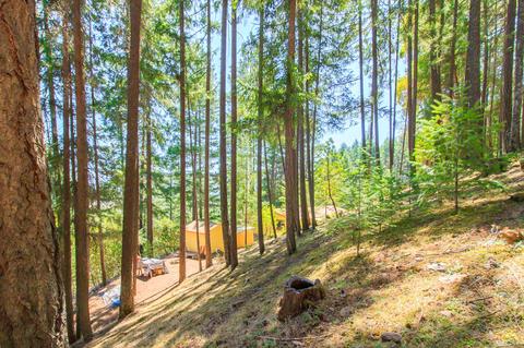 225 Kitty Dr, Eagle Point, OR 97524 photo 27