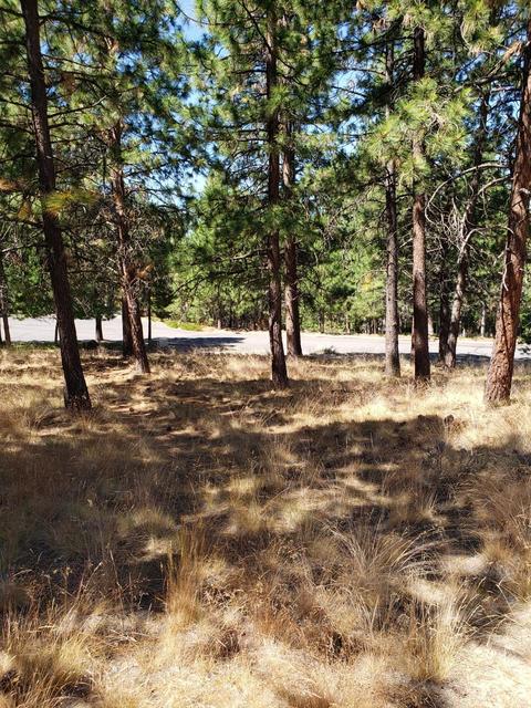 2514 NW Coe Ct, Bend, OR 97703 photo 3