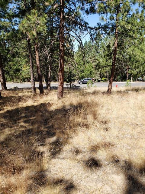 2514 NW Coe Ct, Bend, OR 97703 photo 2