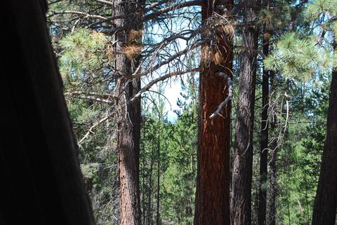51594 Ash Rd, La Pine, OR 97739 photo 22