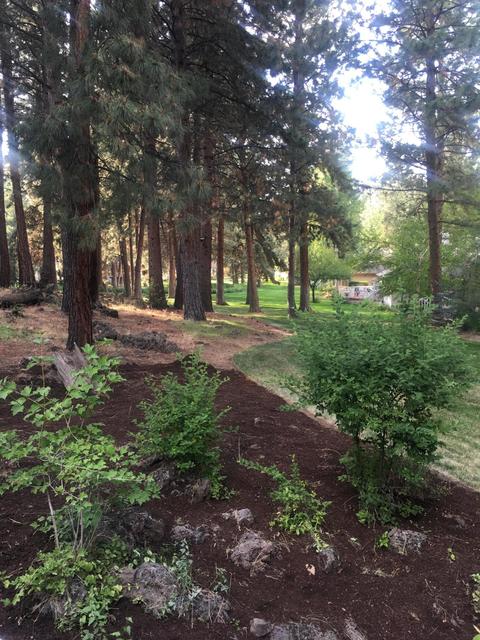 60890 Willow Creek Loop, Bend, OR 97702 photo 4