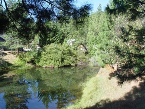 263 Greentree Loop, Grants Pass, OR 97527 photo 26