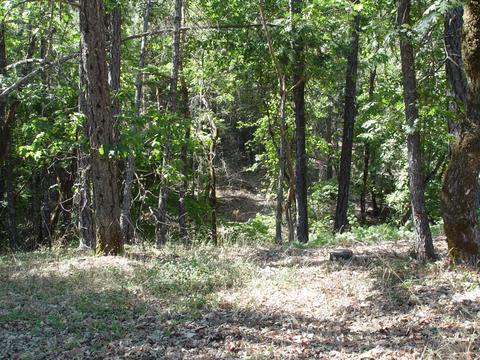 263 Greentree Loop, Grants Pass, OR 97527 photo 28