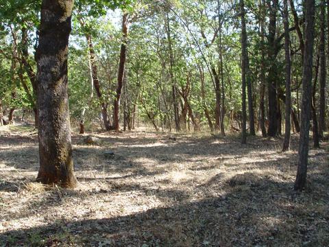 263 Greentree Loop, Grants Pass, OR 97527 photo 29