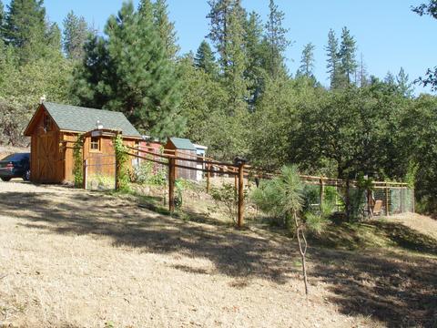 263 Greentree Loop, Grants Pass, OR 97527 photo 10