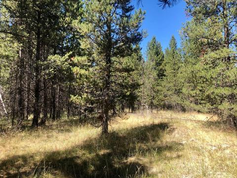 17450 Cedar Ct, Bend, OR 97707 photo 14