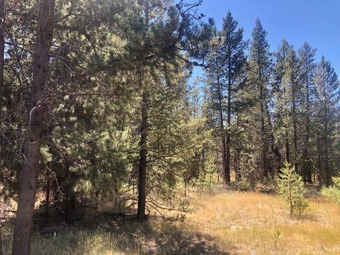 17450 Cedar Ct, Bend, OR 97707 photo 9