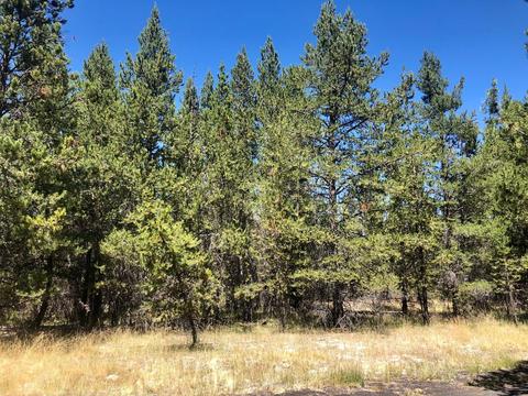 17450 Cedar Ct, Bend, OR 97707 photo 5