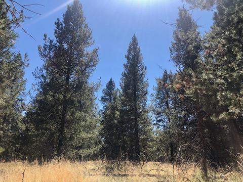 17450 Cedar Ct, Bend, OR 97707 photo 12