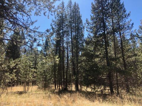 17450 Cedar Ct, Bend, OR 97707 photo 11