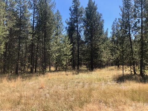 17450 Cedar Ct, Bend, OR 97707 photo 10