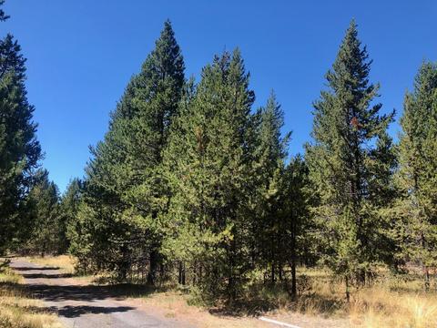 17450 Cedar Ct, Bend, OR 97707 photo 3