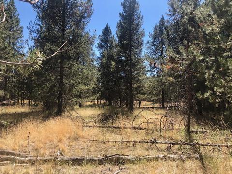 17450 Cedar Ct, Bend, OR 97707 photo 13