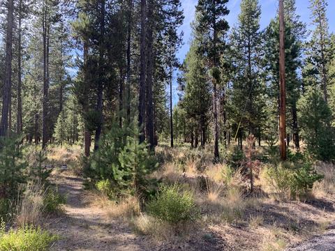 56593 Celestial Dr, Bend, OR 97707 photo 13