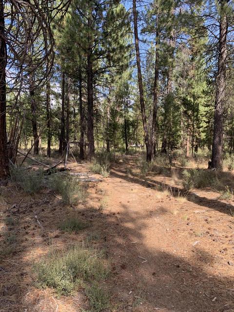 56593 Celestial Dr, Bend, OR 97707 photo 3