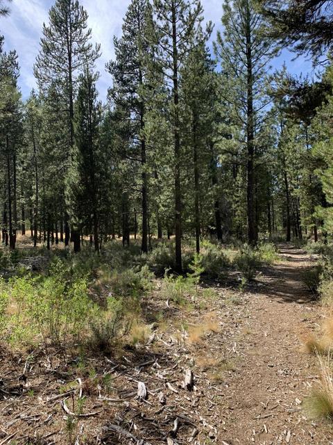 56593 Celestial Dr, Bend, OR 97707 photo 10