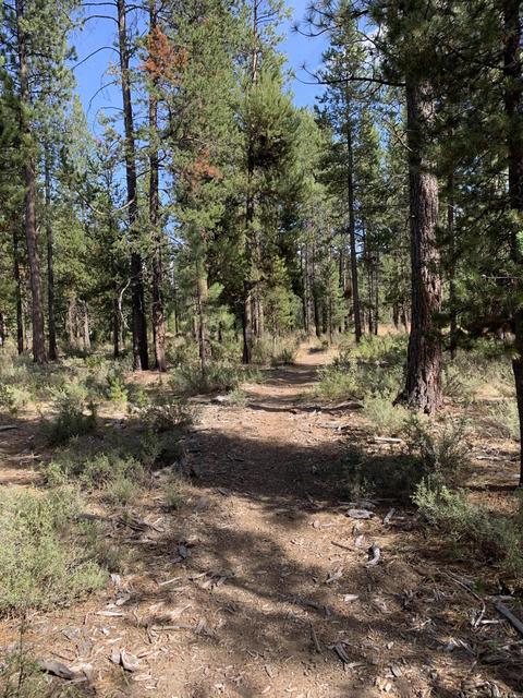 56593 Celestial Dr, Bend, OR 97707 photo 9