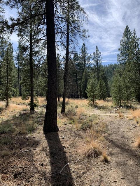 56593 Celestial Dr, Bend, OR 97707 photo 7