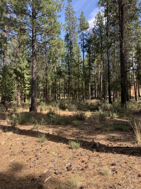 56593 Celestial Dr, Bend, OR 97707 photo 1