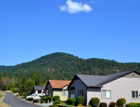 209 Red Cedar Ln, Cave Junction, OR 97523 photo 2