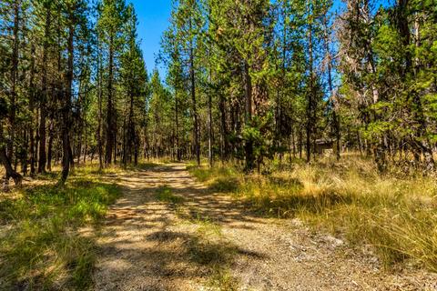 55700 Cone Pl, Bend, OR 97707 photo 5