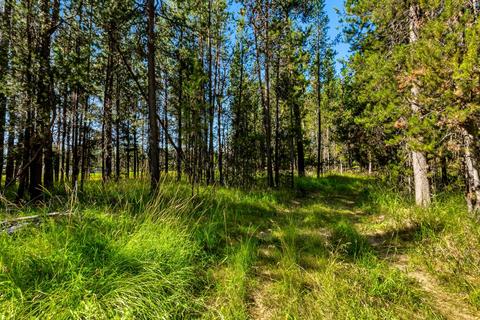 55700 Cone Pl, Bend, OR 97707 photo 11