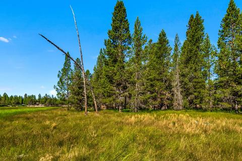 55700 Cone Pl, Bend, OR 97707 photo 10