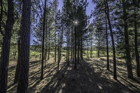 41524 Wampler Dr, Chiloquin, OR 97624 photo 17