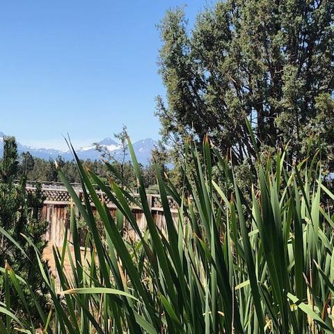20550 Harper Rd, Bend, OR 97703 photo 10