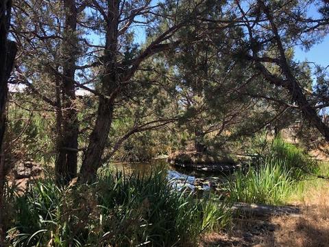 20550 Harper Rd, Bend, OR 97703 photo 8